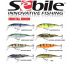 SEBILE SWINGTAIL MINNOW