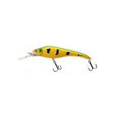 Acast Minnow Medium Lip