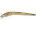 SLENDER EEL