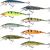 SEBILE BULL MINNOW