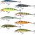 SEBILE BULL MINNOW