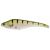 Acast Minnow Medium Lip