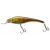 Acast Minnow Medium Runner