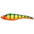 Acast Minnow Medium Runner